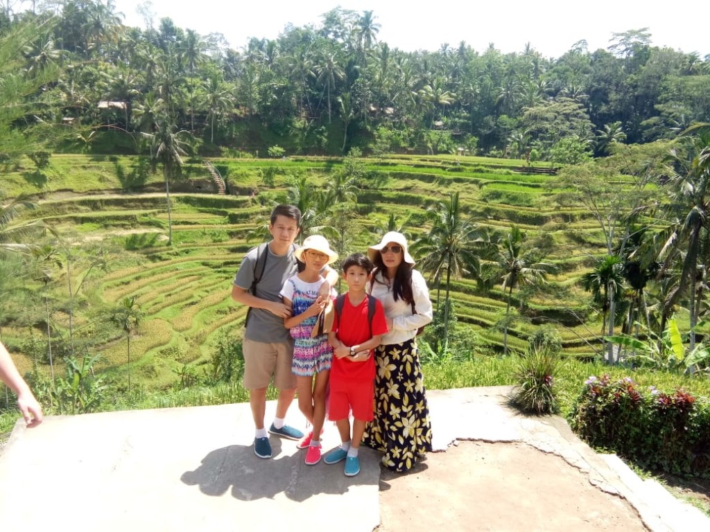 cheapest bali private tour with driver