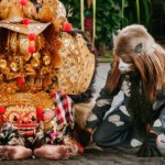 onlinebalidriver.com