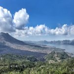 onlinebalidriver.com