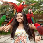 bali bird park