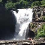 online bali driver/tegenungan water fall
