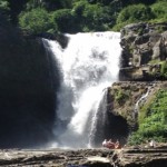 online bali driver/tegenungan water fall