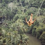 bali swing